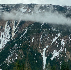 Meet your Posher, Avery